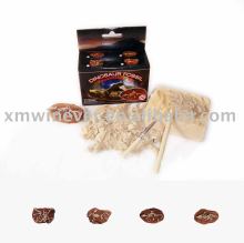 Sml.Dinosaur fossil,4 assorted