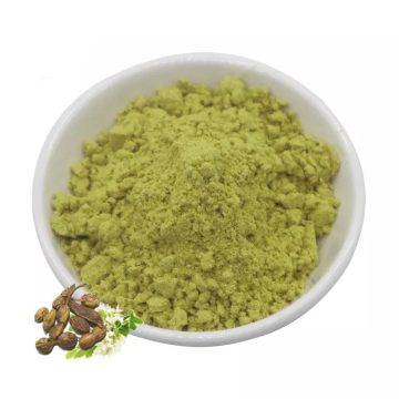 Wholesale Organic Quercetin Powder
