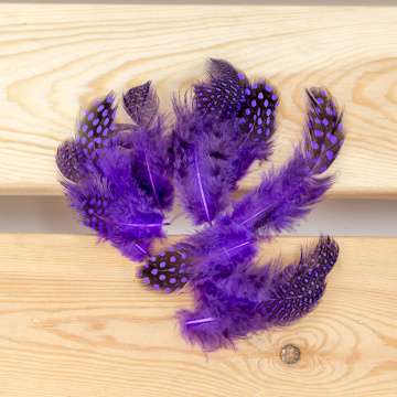 Peacock feather craft ideas