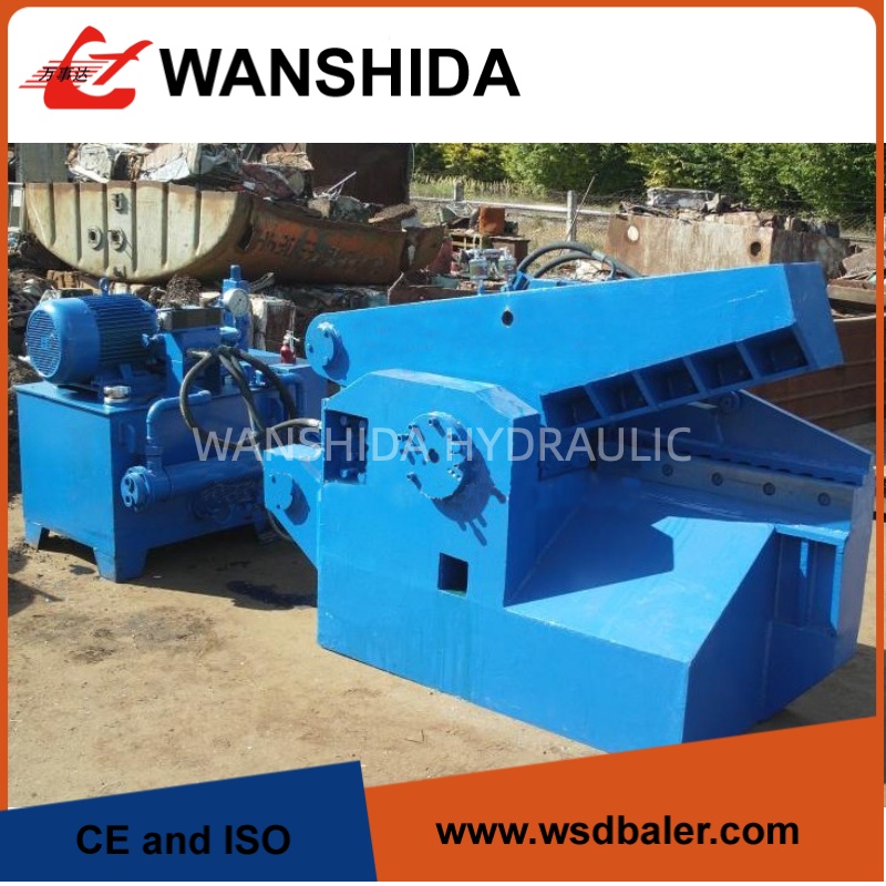 Alligator10 alligator10