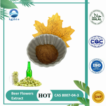 Pure Beer Flowers Hops Extract Humulus Lupulus Extract