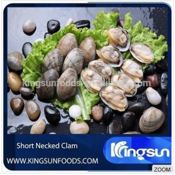 Frozen Short Necked Clam With Shell