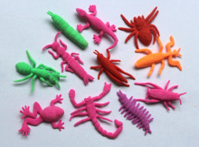 Growing medium insect