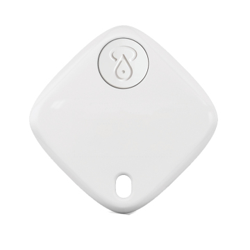 Apple Pet Dog Location Tracking AirTag