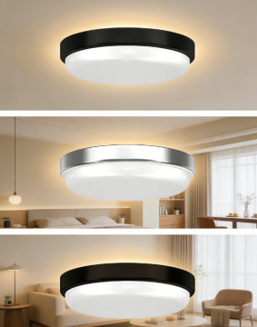 LED Indoor Ceiling Light