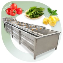 Commercial Fruit and Vegetable Wash Machine for Dried Fruits and Salads