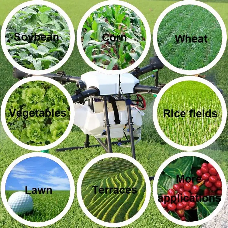 New Agricultural Pesticide Spraying Plant Protection Drone/Uav 10L