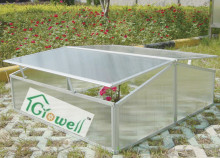 Cold Frame Greenhouse for Young Plants Growing (C302)