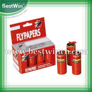 The most popular fly paper catcher