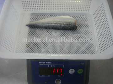 Frozen Mackerel Fish Frozen Pacific Mackerel Fillet