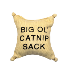 Arrival Latest Interactive Cat Doll Toy With Catnip