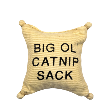 Arrival Latest Interactive Cat Doll Toy With Catnip