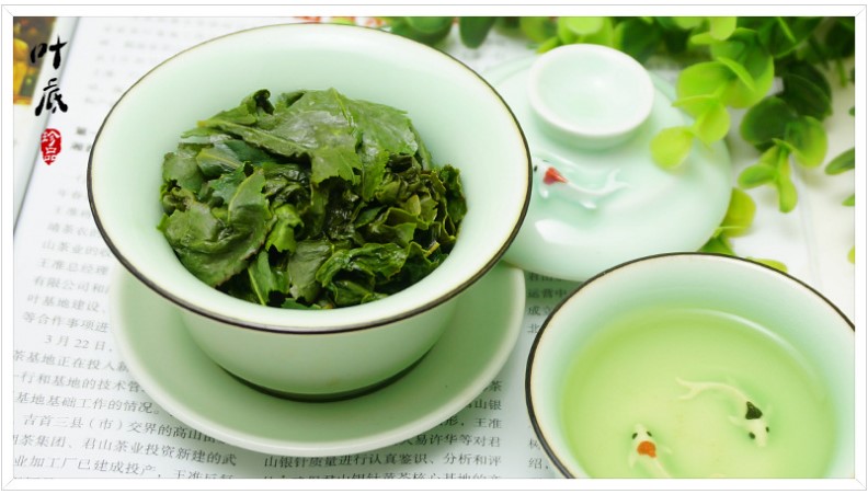 Oolong Green Tea Leaves Fujian Oolong Tea Brands Tie Guan Yin Loose Leaf oolong tea