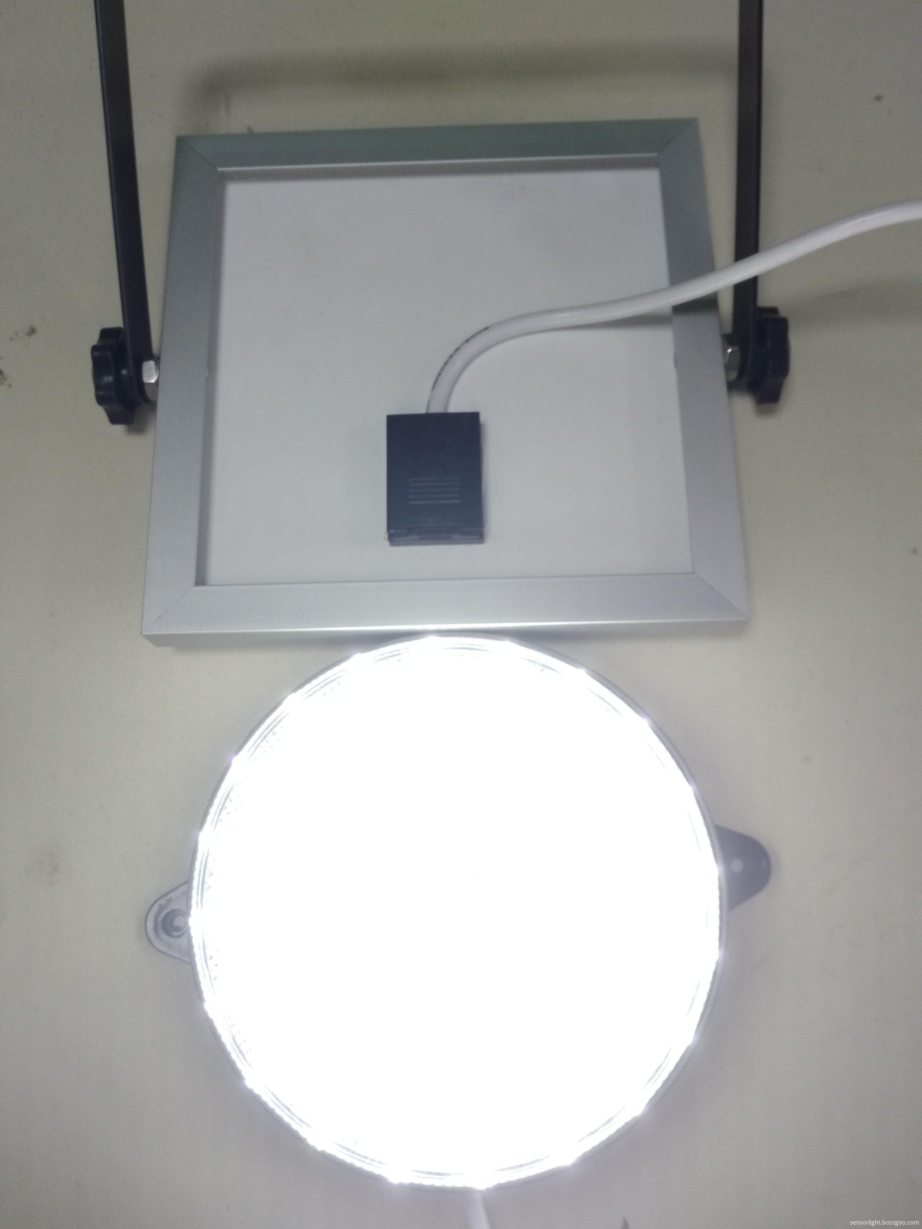 Solar Security Light