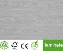 Oak collection  beautiful Lamiante Floor