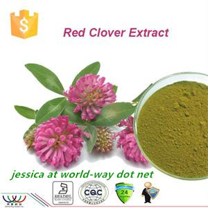 free sample !16 years China factory red clover extract for acne , red clover extract for skin , red clover extract for women