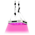 High Power Cob 280W Led Grow Lights