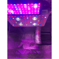 Contrôleur LED COB GROW LIGHTS C / W