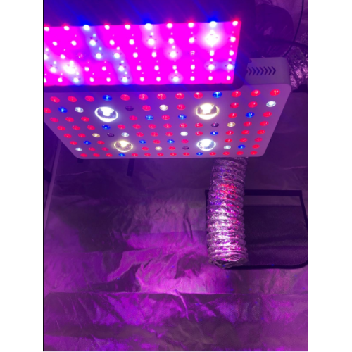 LED COB GROW LIGHTS C / W-Steuerung