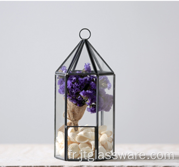 Terrarium de fleurs de vase de plante en verre transparent carré