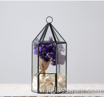 Bình thủy tinh vuông trong suốt Bình hoa Terrarium