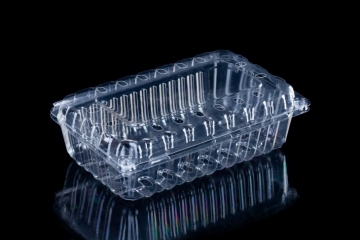 Disposable Plastic Container for Fruit