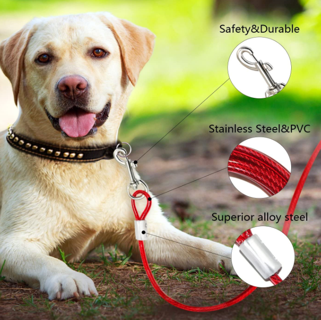 Câble d'attache pour chien moyen Medium Dog Tie Out Cable