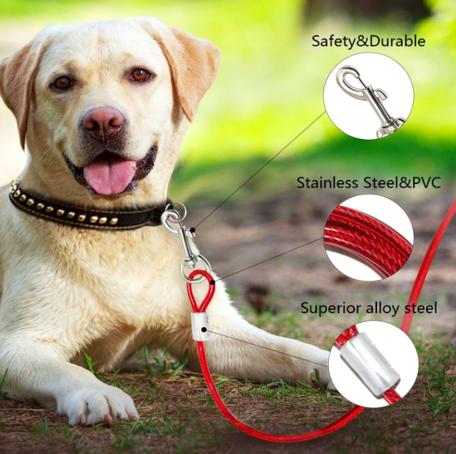 Medium Dog Tie Out Cable