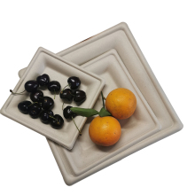 Custom Printed Biodegradable Disposable 10inch Fruit trays