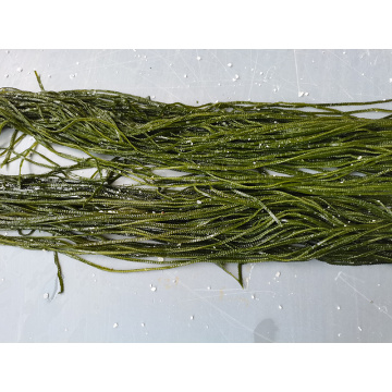 Légume d&#39;algues de varech à base d&#39;algues salées de première qualité