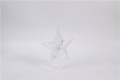 LED Top Tree Star Night Light