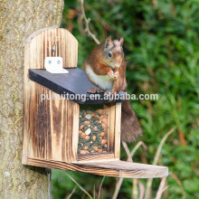 squirrel feeder