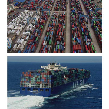 Import and export agency services logistics services