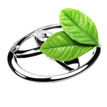 Wholesale Custom ABS Car Badges & Chrome Electroplated Emblems