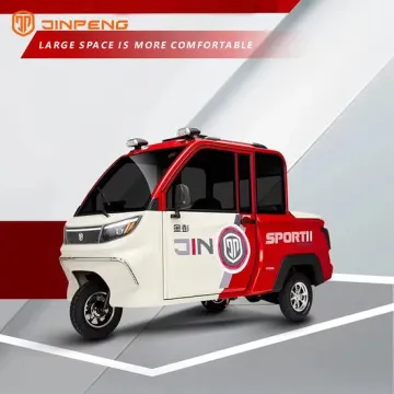 Electric Passenger Tricycle with Cargo Box for Dual Use: Cargo and Passenger Transportation