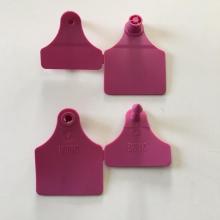 Laser marking ear tag