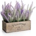 Potted Lavender Plant with Wooden Tray