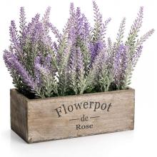 Potted Lavender Plant with Wooden Tray