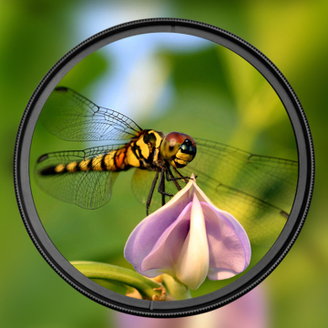 +4 Camera lens macro close up filter