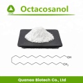 Zuckerrohrwachs Extract Octacosanol Pulver 90% Preis