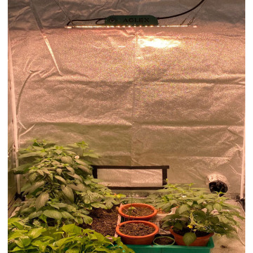 Luces de cultivo de vegetales LED de espectro completo 100W