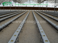 Commercial Hydroponics System for Cucumbers
