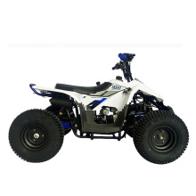 Kids Gasoline ATV Raptor 4 Wheeler 110Cc