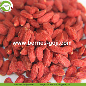 Giảm cân tự nhiên bị khô dinh dưỡng Tây Tạng Goji Berry