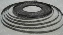 Flexible pure graphite strip used for SPW Gasket