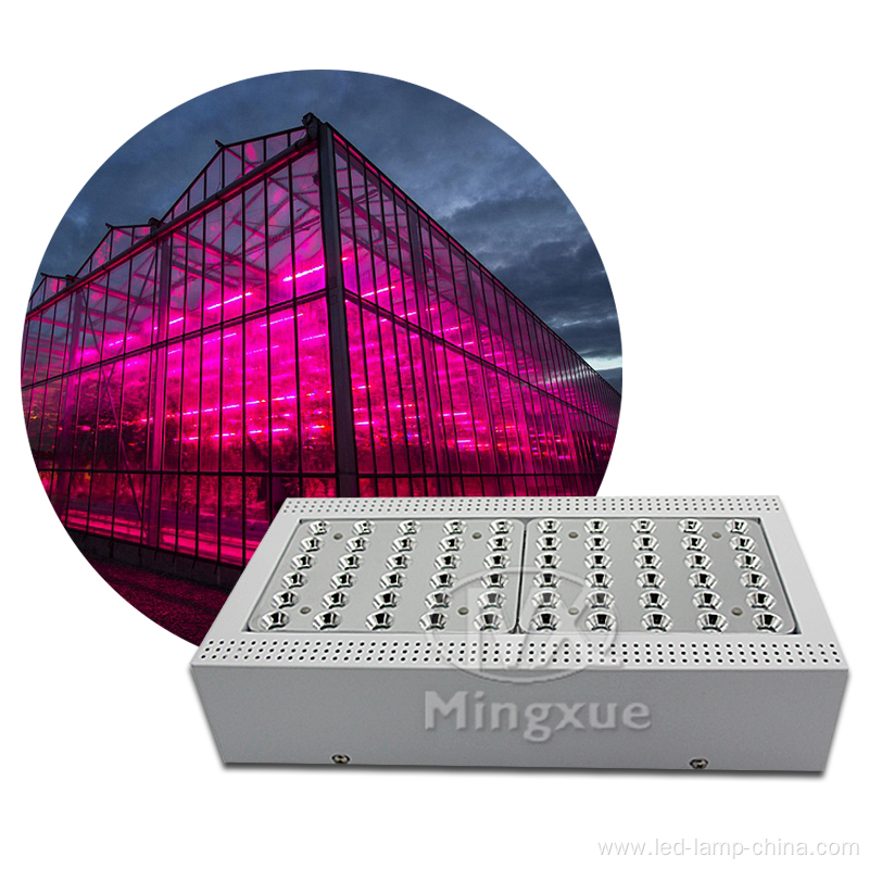 Assembled 150w per piece LED Grow Light