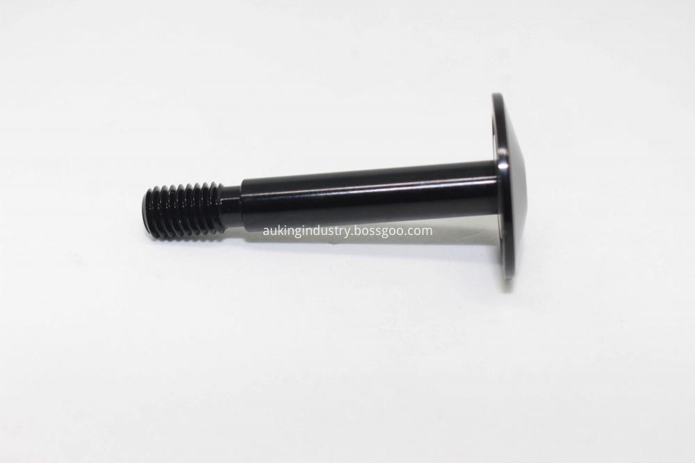 Suspension Fork screw