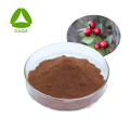 Ruscogénine naturelle 20% Powder Ruscus aculeatus Root Extract