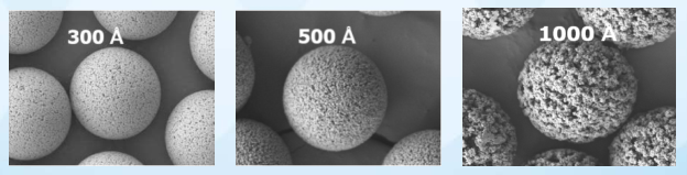 Micrografías SEM de UniPS SEM micrographs of UniPS