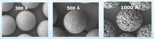 SEM micrographs of UniPS